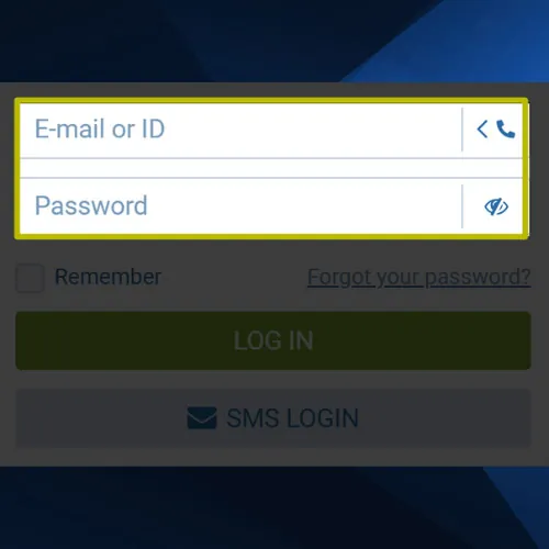 Enter your login credentials